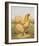 Buff Cochin Hen, "Blossom"-J^ W^ Ludlow-Framed Premium Giclee Print