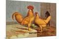Premium Giclee Print
