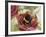 Buff-Tailed Bumblebee or Large Earth Bumblebee (Bombus Terrestris), Apidae-null-Framed Giclee Print