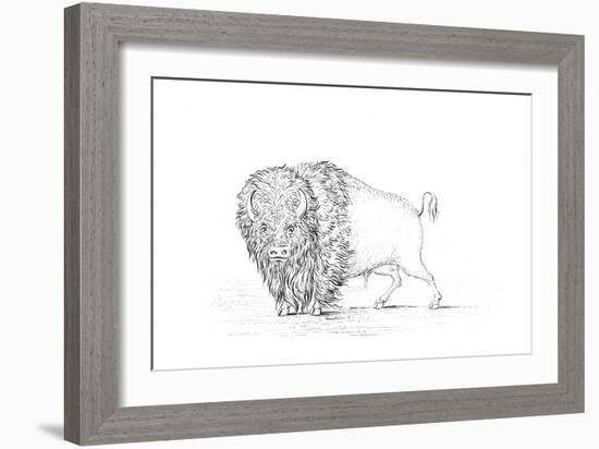 Buffalo, 1841-Myers and Co-Framed Giclee Print