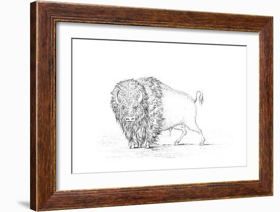 Buffalo, 1841-Myers and Co-Framed Giclee Print