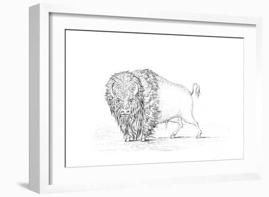 Buffalo, 1841-Myers and Co-Framed Giclee Print