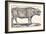 Buffalo, 1850 (Engraving)-Louis Simon (1810-1870) Lassalle-Framed Giclee Print