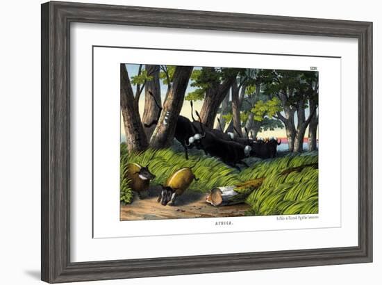 Buffalo, 1860-null-Framed Giclee Print