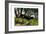 Buffalo, 1860-null-Framed Giclee Print