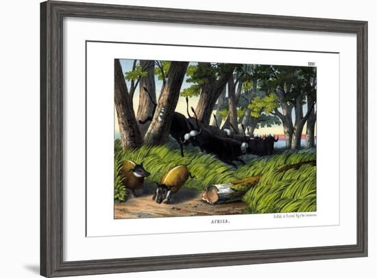 Buffalo, 1860-null-Framed Giclee Print