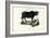 Buffalo, 1863-79-Raimundo Petraroja-Framed Giclee Print