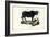 Buffalo, 1863-79-Raimundo Petraroja-Framed Giclee Print