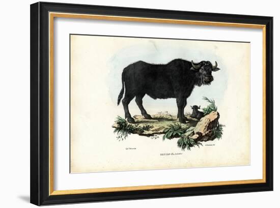 Buffalo, 1863-79-Raimundo Petraroja-Framed Giclee Print