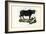Buffalo, 1863-79-Raimundo Petraroja-Framed Giclee Print