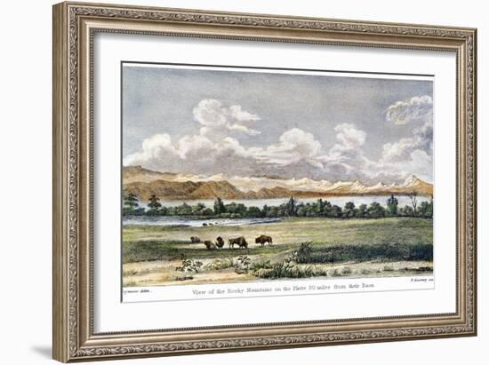Buffalo, 19th Century-null-Framed Giclee Print