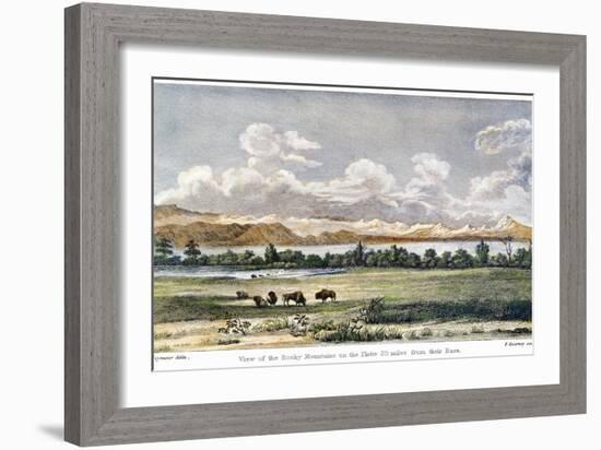 Buffalo, 19th Century-null-Framed Giclee Print