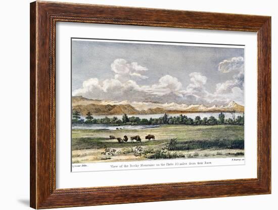 Buffalo, 19th Century-null-Framed Giclee Print