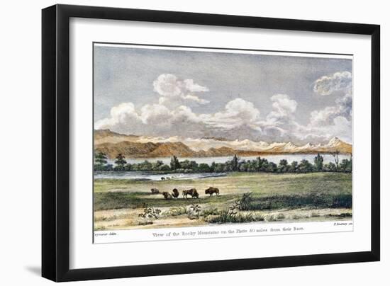 Buffalo, 19th Century-null-Framed Giclee Print