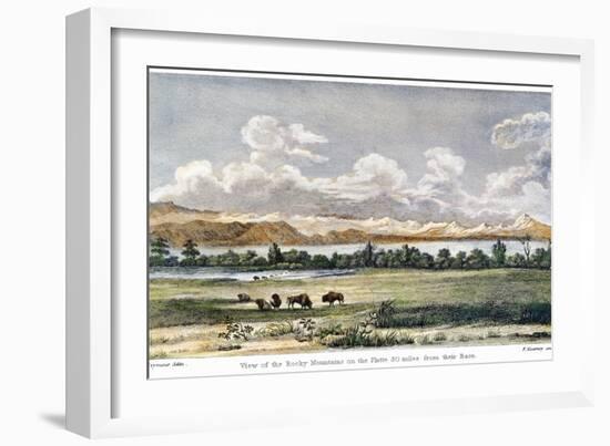 Buffalo, 19th Century-null-Framed Giclee Print
