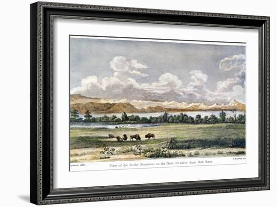 Buffalo, 19th Century-null-Framed Giclee Print