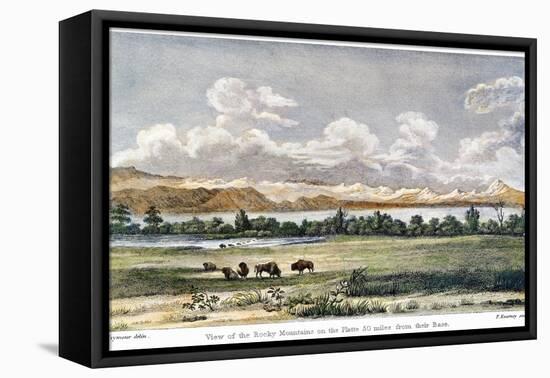 Buffalo, 19th Century-null-Framed Premier Image Canvas