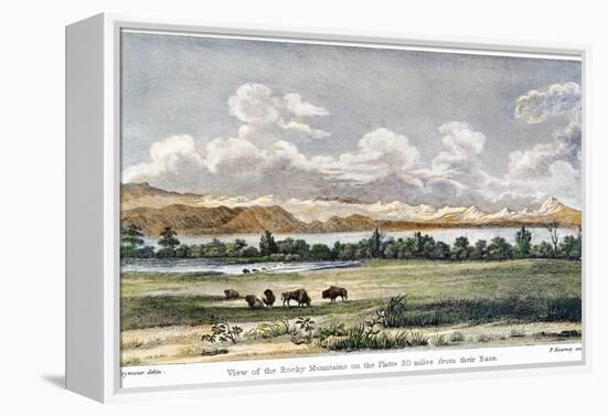 Buffalo, 19th Century-null-Framed Premier Image Canvas