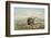 Buffalo and Coyotes-George Catlin-Framed Photographic Print