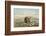 Buffalo and Coyotes-George Catlin-Framed Photographic Print