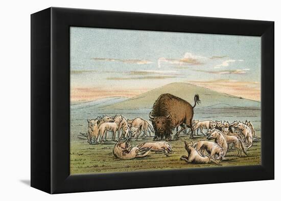 Buffalo and Coyotes-George Catlin-Framed Premier Image Canvas