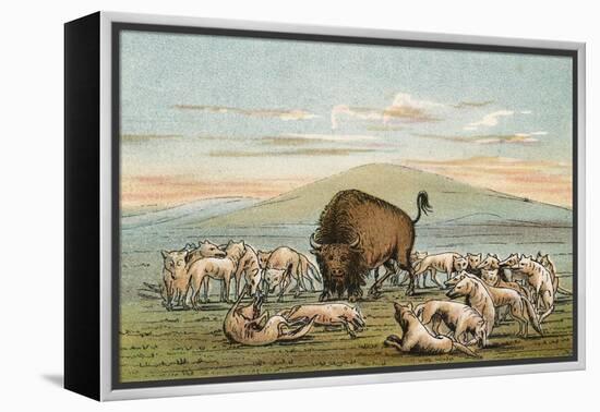 Buffalo and Coyotes-George Catlin-Framed Premier Image Canvas