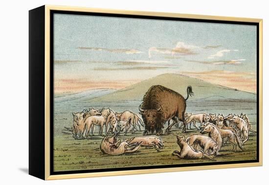 Buffalo and Coyotes-George Catlin-Framed Premier Image Canvas