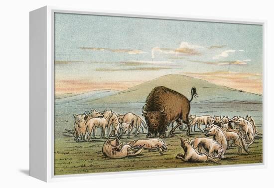 Buffalo and Coyotes-George Catlin-Framed Premier Image Canvas