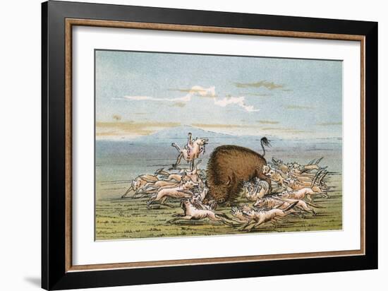 Buffalo and Coyotes-George Catlin-Framed Art Print