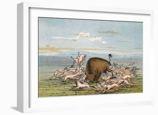 Buffalo and Coyotes-George Catlin-Framed Art Print