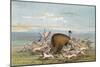 Buffalo and Coyotes-George Catlin-Mounted Art Print