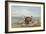 Buffalo and Coyotes-George Catlin-Framed Art Print