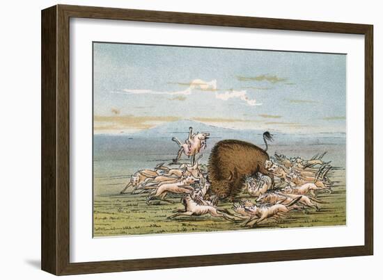 Buffalo and Coyotes-George Catlin-Framed Premium Giclee Print