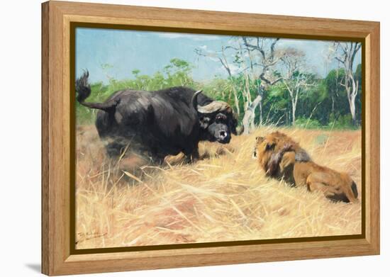 Buffalo and Lion before the Fight-Wilhelm Kuhnert-Framed Premier Image Canvas