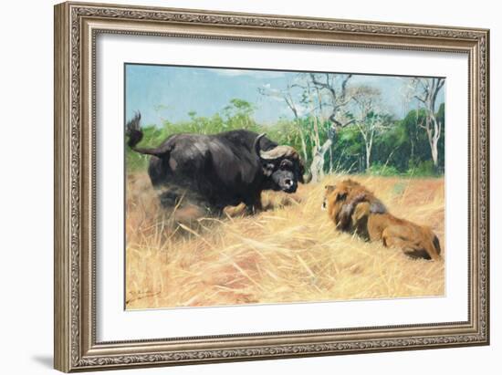 Buffalo and Lion before the Fight-Wilhelm Kuhnert-Framed Giclee Print