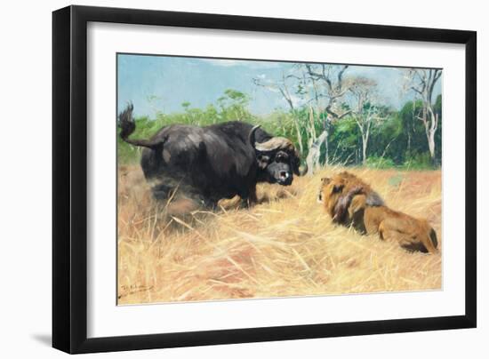 Buffalo and Lion before the Fight-Wilhelm Kuhnert-Framed Giclee Print