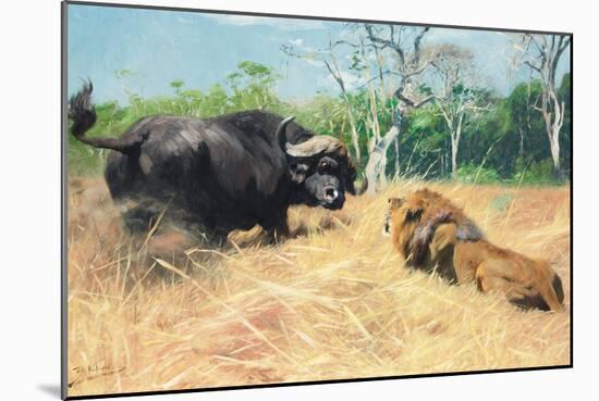 Buffalo and Lion before the Fight-Wilhelm Kuhnert-Mounted Giclee Print