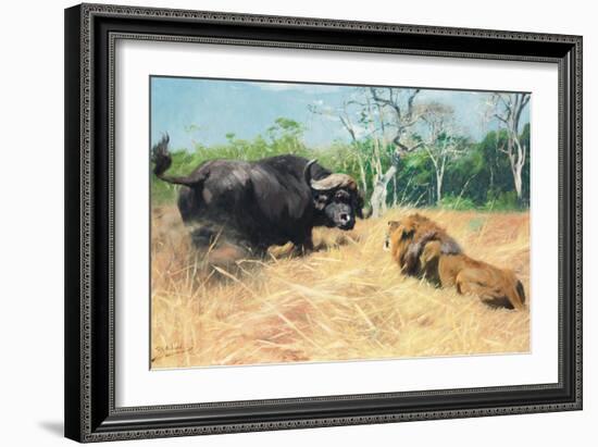 Buffalo and Lion before the Fight-Wilhelm Kuhnert-Framed Giclee Print