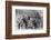 Buffalo Bill Cody's Wild West Troupe-null-Framed Photographic Print