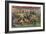 Buffalo Bill's Wild West, American Indians-Science Source-Framed Giclee Print