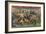 Buffalo Bill's Wild West, American Indians-Science Source-Framed Giclee Print