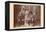 Buffalo Bill, Sitting Bull, and Others-null-Framed Stretched Canvas