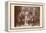 Buffalo Bill, Sitting Bull, and Others-null-Framed Stretched Canvas