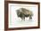 Buffalo Bill-James Wiens-Framed Art Print