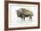 Buffalo Bill-James Wiens-Framed Art Print