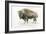 Buffalo Bill-James Wiens-Framed Art Print