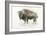 Buffalo Bill-James Wiens-Framed Premium Giclee Print