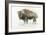 Buffalo Bill-James Wiens-Framed Premium Giclee Print