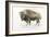 Buffalo Bill-James Wiens-Framed Premium Giclee Print