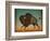 Buffalo Bison II-Ryan Fowler-Framed Art Print